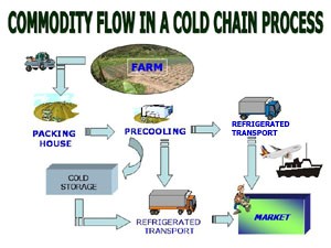 Commodity Flow